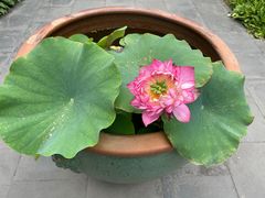 -李叔同故居纪念馆