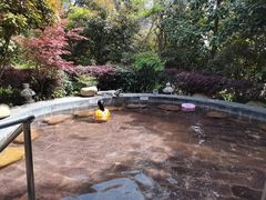 -南京汤山紫清湖生态旅游温泉度假区