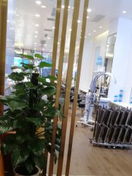-YESIDO椰岛造型