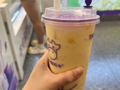 -一只酸奶牛(洪崖洞11楼店)