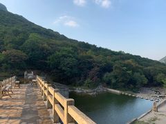 -龙道沟景区