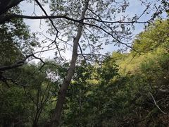-京东石林峡风景区