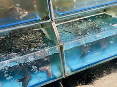 -桃源村铁锅炖鱼(体育馆道店)