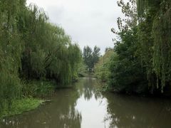 -溱湖国家湿地公园