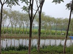 -西青郊野公园