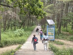 -帽儿山国家森林公园