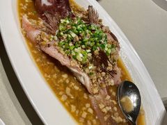 东星斑-皇朝会.经典传统粤菜(外滩店)