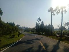 -瑶湖郊野森林公园