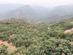 -广州市石门国家森林公园