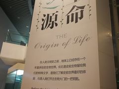 -烟台自然博物馆