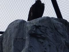 -鄂尔多斯野生动物园