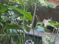 -绿房子方寸咖啡(星海名城店)