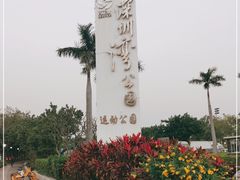 -深圳湾公园(南山区)