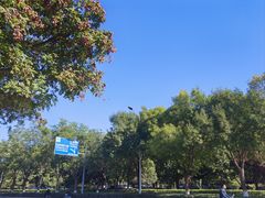 -中关村生命科学园