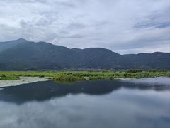 -腾冲北海湿地