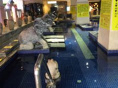 -稷泽·海丽宾雅温泉度假酒店