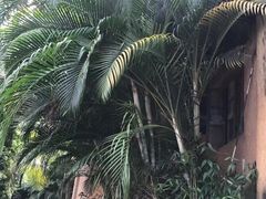 -海南槟榔谷黎苗文化旅游区