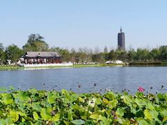 -西海子公园