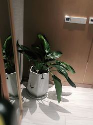 -苑苑vbeauty科技美容SPA