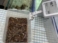 鲜活血鳝-盒马鲜生(岭南新世界店)