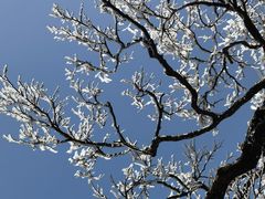 -萍乡武功山风景名胜区