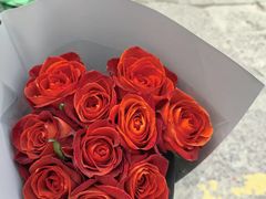 -双季花艺园艺市场(浦东店)