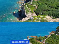 -杨梅坑