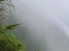 -梧桐山风景名胜区