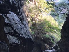 -九龙潭景区
