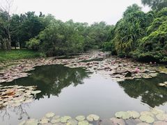 -白沙门生态公园