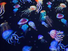 -江和美海洋公园
