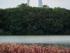 -海珠湖公园