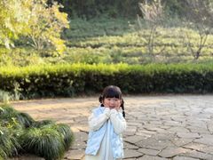 -杭州半山国家森林公园