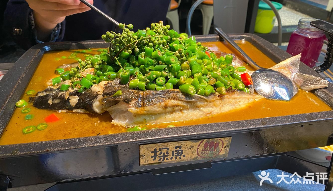 正宗探鱼 