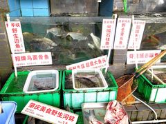 -东胜客河鲜店·西江河鲜·老字號渔家菜