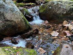 -五女峰国家森林公园