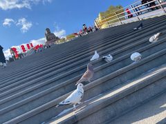 -龙口南山旅游景区