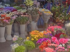 -双季花艺园艺市场(浦东店)