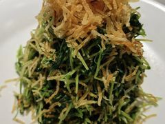 巧拌豆苗-四季民福烤鸭店(前门店)