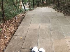 -杭州半山国家森林公园