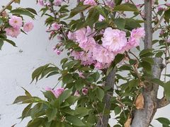 -草场地艺术区