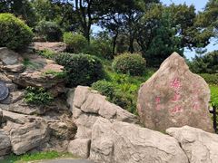 -海上云台山景区
