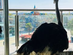 -芜湖新华联大白鲸海洋公园