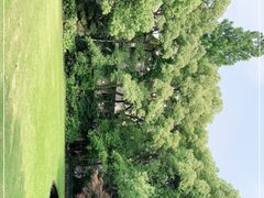 -上海市工艺美术博物馆
