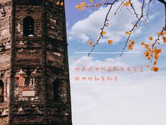 -上海佘山国家森林公园天马山园