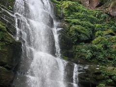 -碧峰峡风景区