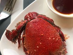 不知名的蟹-万达文华酒店·48F云端窗景美食汇自助餐厅