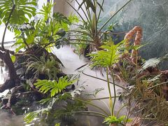 -宴周康·精致江浙菜(周浦店)
