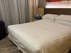 -新加坡柏薇罗切斯特酒店
