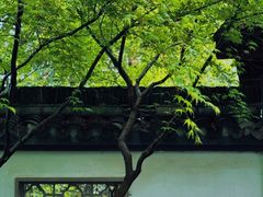 -杭州植物园